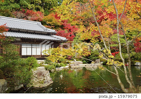 湖東三山 百済寺 庭園本坊  15979075