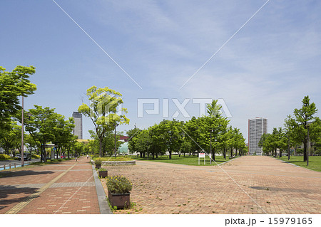勝山公園と清張通り 15979165