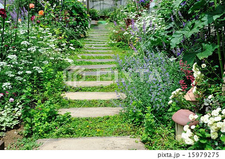 玄関アプローチ 15979275