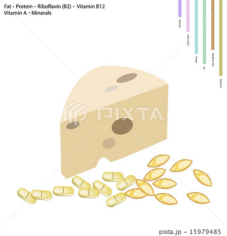 Cheese with Fat, Protein, Vitamin B2, B12, A 15979485