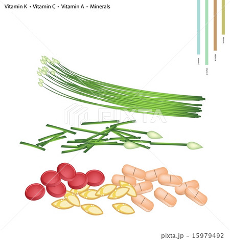 Garlic Chives with Vitamin K, C, A, B9 Minerals 15979492