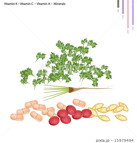 Coriander with Vitamin K, C and A Coriander with Vitamin K, C and A 15979494