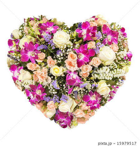 Valentines Day Heart Made of tan Roses Isolated 15979517