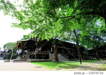 杉並妙法寺 15979716