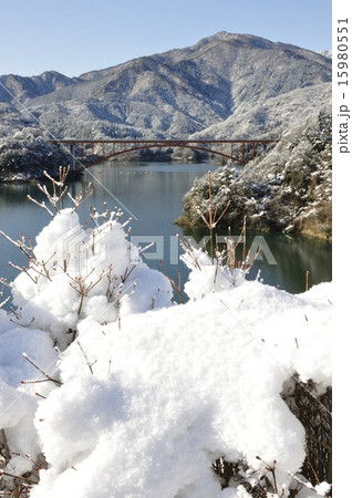 雪化粧した宮ヶ瀬湖 15980551