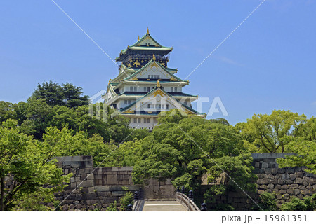 新緑の大阪城 新緑の大阪城 15981351