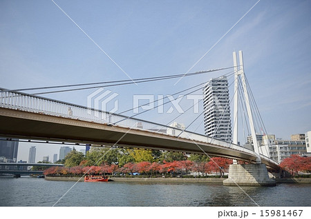 川崎橋 大川 川崎橋 大川 15981467
