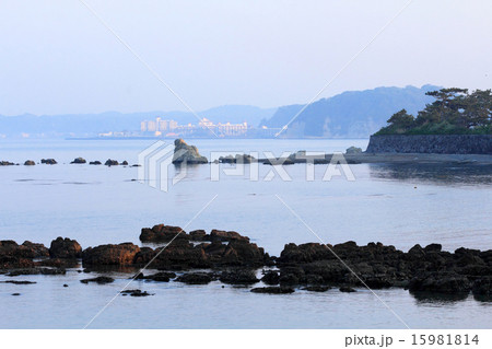 葉山の海岸 15981814