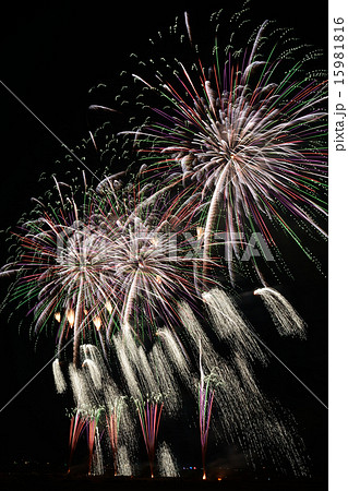 長野えびす講煙火大会のスターマイン 長野えびす講煙火大会のスターマイン 15981816