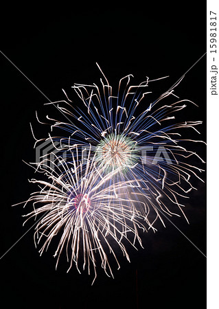 長野えびす講煙火大会の10号玉 長野えびす講煙火大会の10号玉 15981817