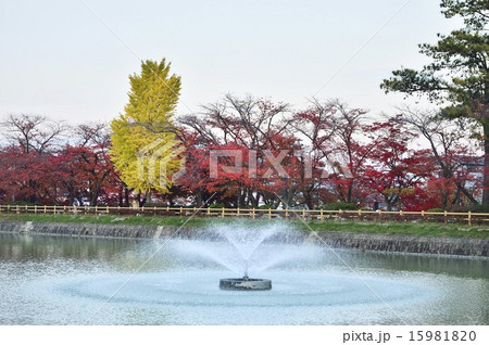 長岡天満宮 八条ヶ池 15981820