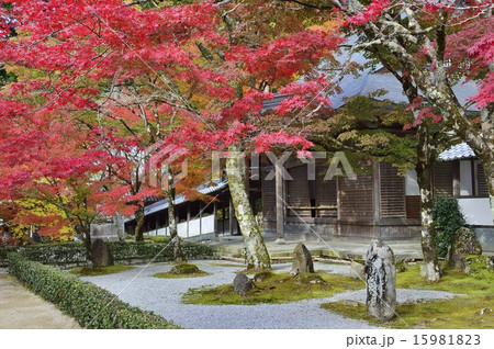 永源寺 紅葉 15981823