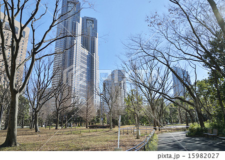 新宿中央公園 15982027