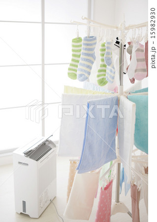 部屋干し 15982930