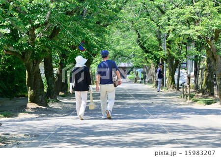 秋月城跡 秋月城跡 15983207