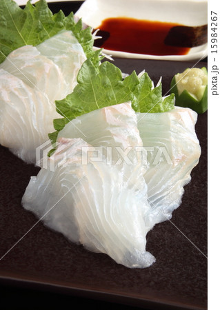 平目　刺身　和食 15984267