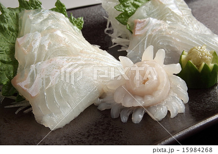 平目　刺身　和食 15984268