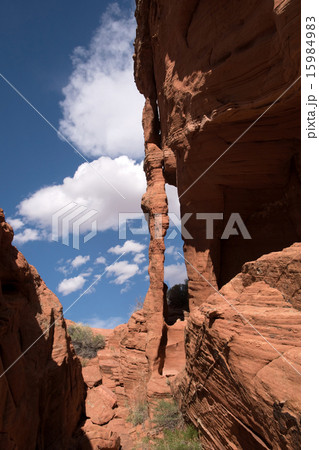 Edmaiers Secret, Utah, USA Edmaiers Secret, Utah, USA 15984983