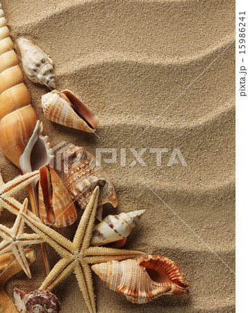 Sea shell on sand 15986241