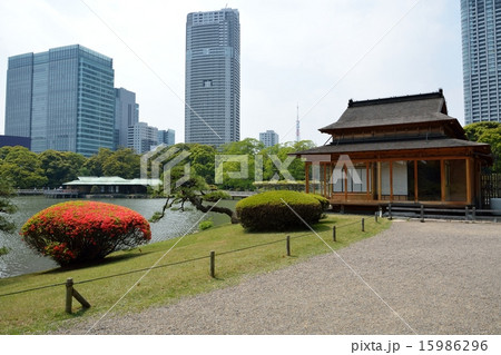 浜離宮・復元された茶屋 浜離宮・復元された茶屋 15986296