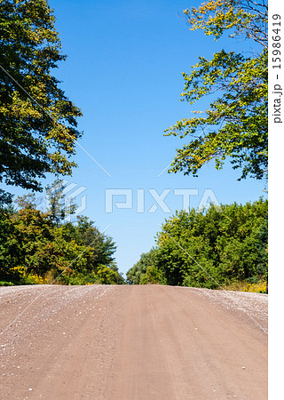 Empty dirt road rising against trees and sky 15986419