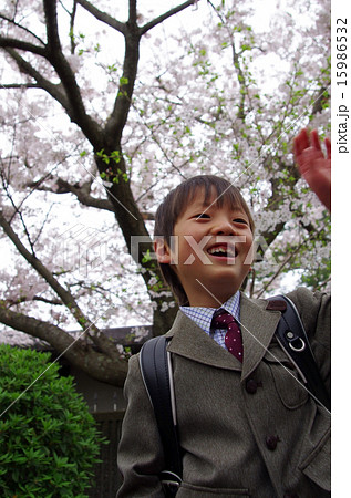 小学生と桜(入学イメージ) 小学生と桜(入学イメージ) 15986532