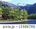 上高地 梓川 河童橋 15986766