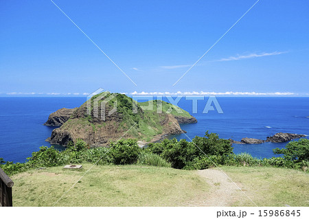 佐渡二つ亀 15986845