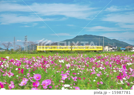 近江鉄道 近江鉄道 15987781