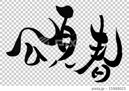 刷舔 刷舔 15988025