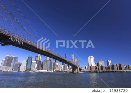 ブルックリンブリッジと摩天楼 ブルックリンブリッジと摩天楼 15988720