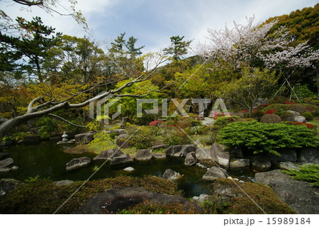 葉山しおさい公園 15989184