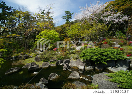 葉山しおさい公園 15989187