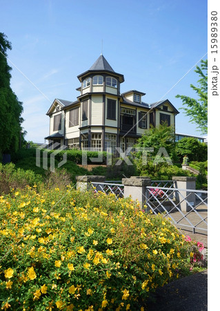 5月都市風景・街並み814キンシバイ・山手イタリア山庭園 15989380