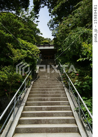 甘縄神明宮 甘縄神明宮 15989481