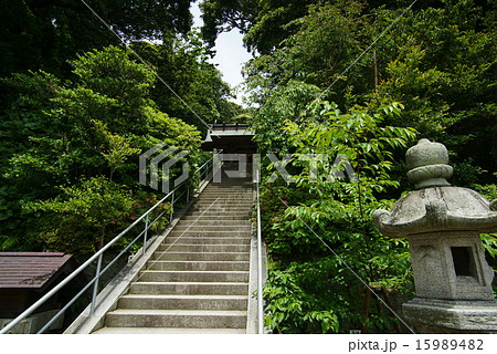 甘縄神明宮 甘縄神明宮 15989482