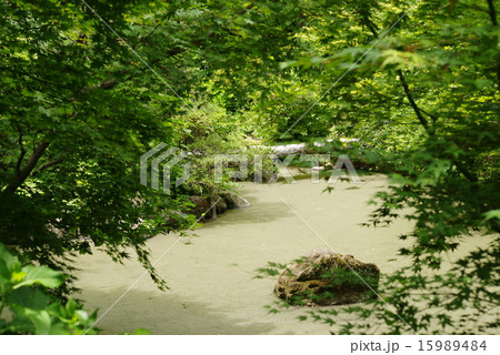 光則寺の庭園 15989484