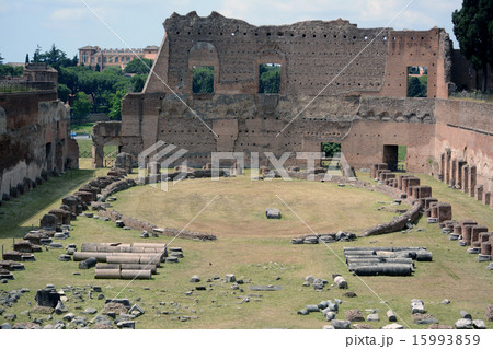 パラティーノの丘　スタディオ 15993859