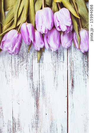 Lilac tulips over wooden table Lilac tulips over wooden table 15994066