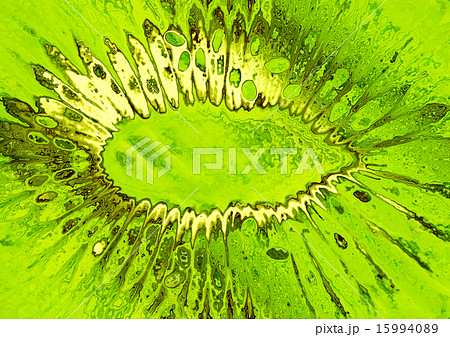 Stylized green kiwi taken closeup.Food background. 15994089