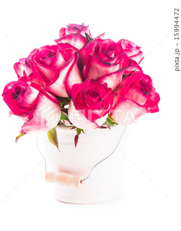 roses in the bucket roses in the bucket 15994472