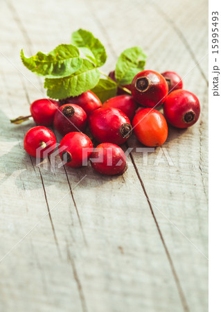 Dogrose fruits 15995493