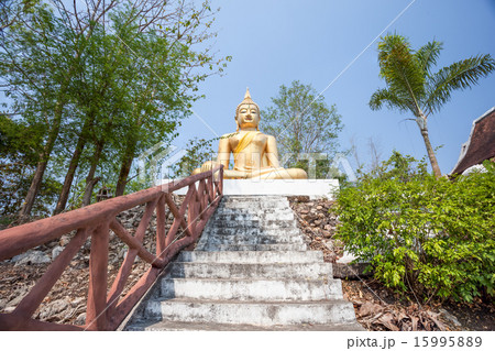 Buddha 15995889