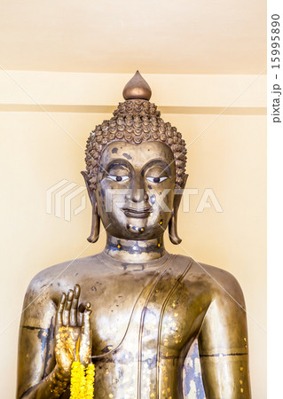 Buddha 15995890