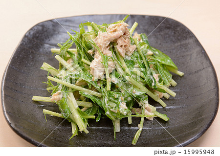 おいしい水菜とツナのサラダの写真素材 15995948 Pixta