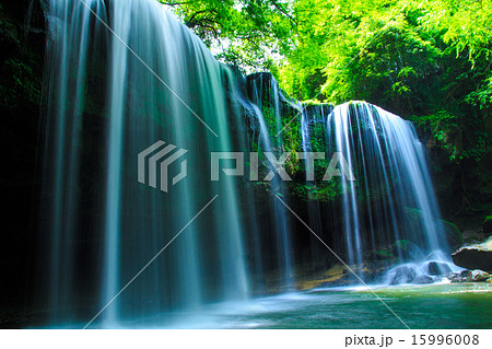 新緑の鍋ヶ滝　水のカーテン 15996008