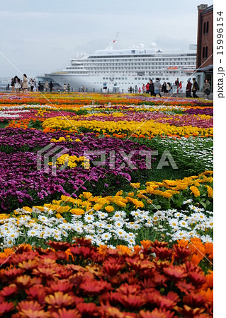 赤レンガパーク みなとみらい21 花畑の写真素材