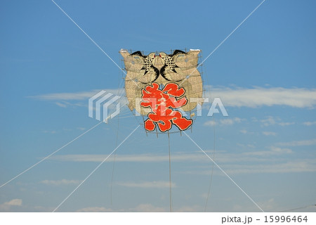 大凧 大凧 15996464