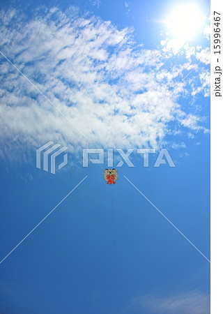 大凧 大凧 15996467