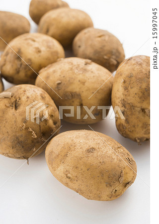 新ジャガイモ 15997045